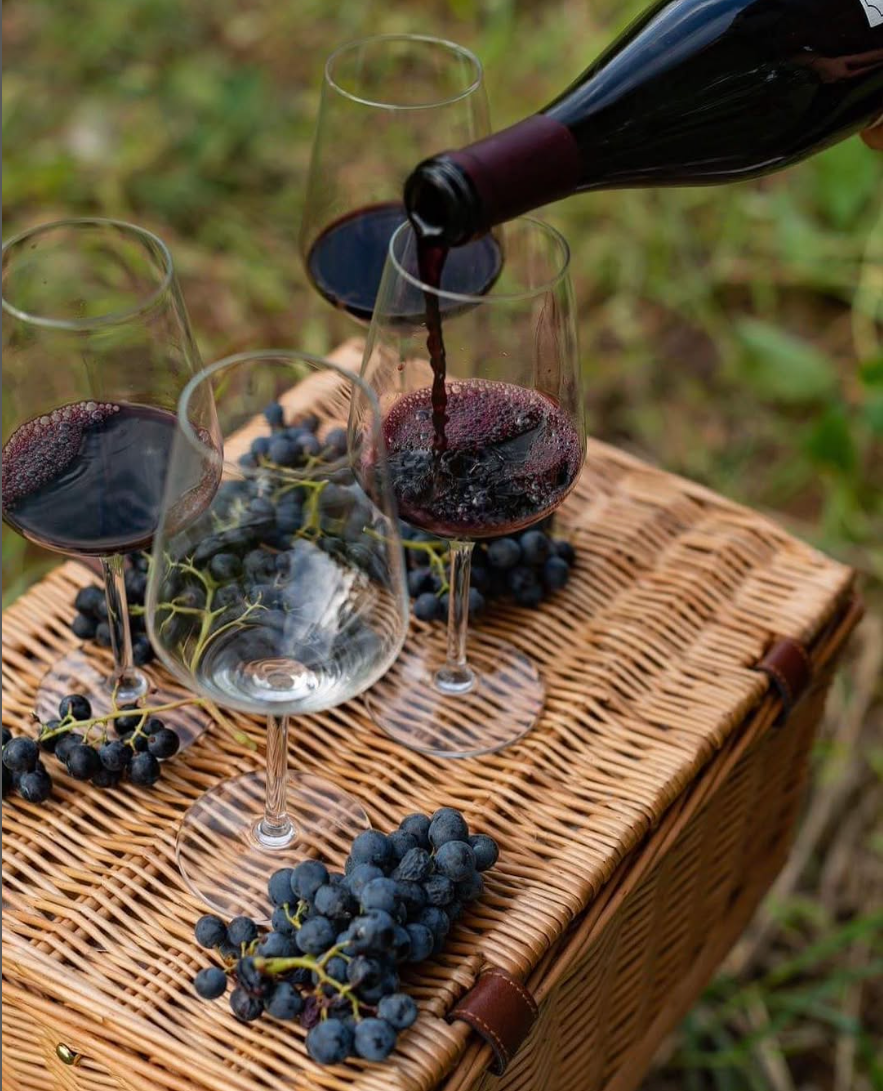 Saperavi Spectrum Sampler 6-Pack - 15% Off