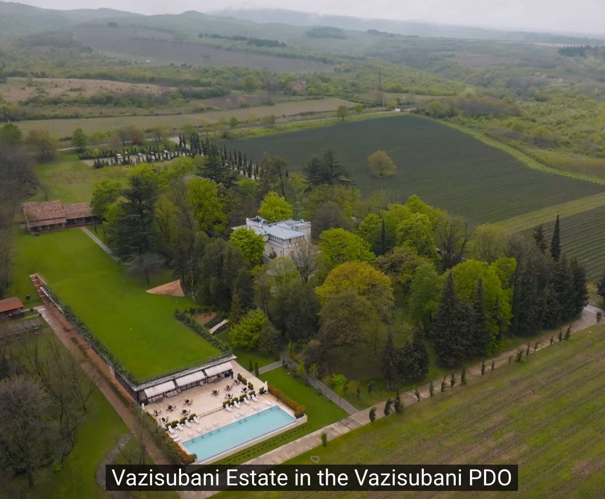 V is for Vino - Vince Anter Nails It - Visiting GEORGIA, the Birthplace of Wine That Welcomed Me Like Family