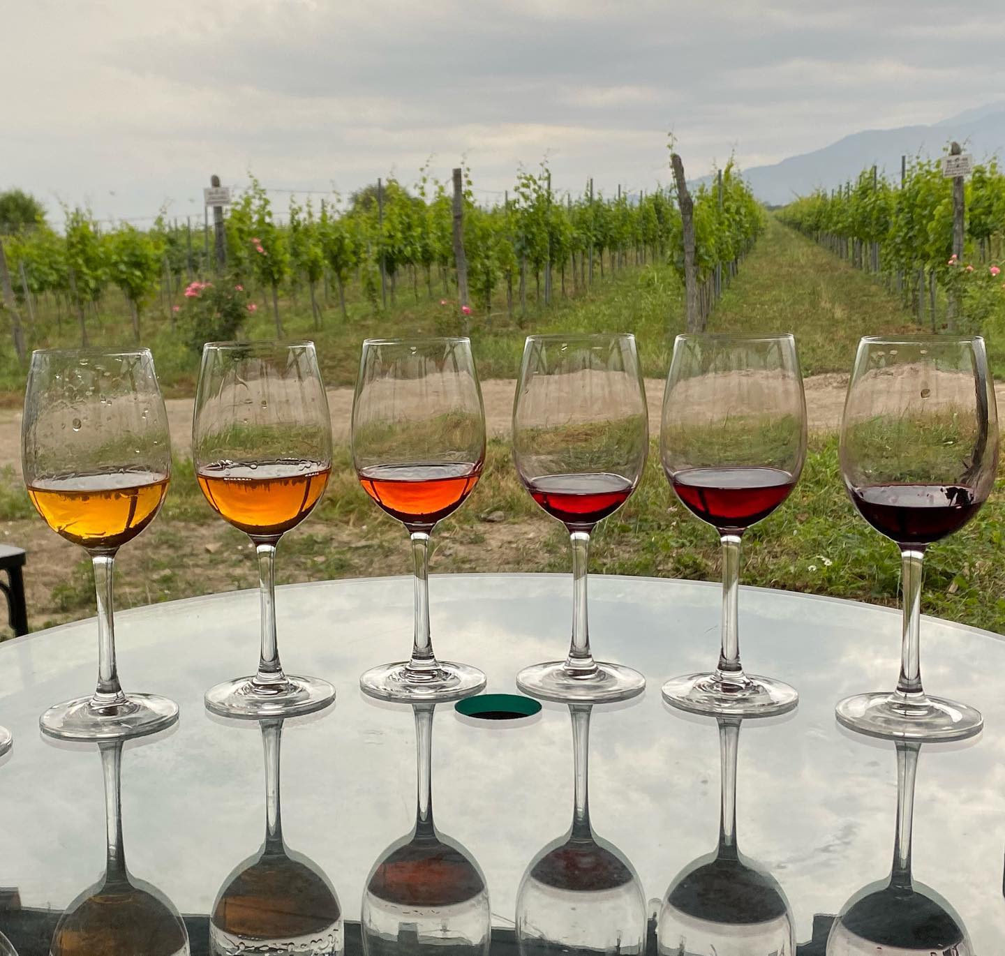 Browse Our Portfolio and Use Filters To Refine Your Interests - Ghvinos Wines