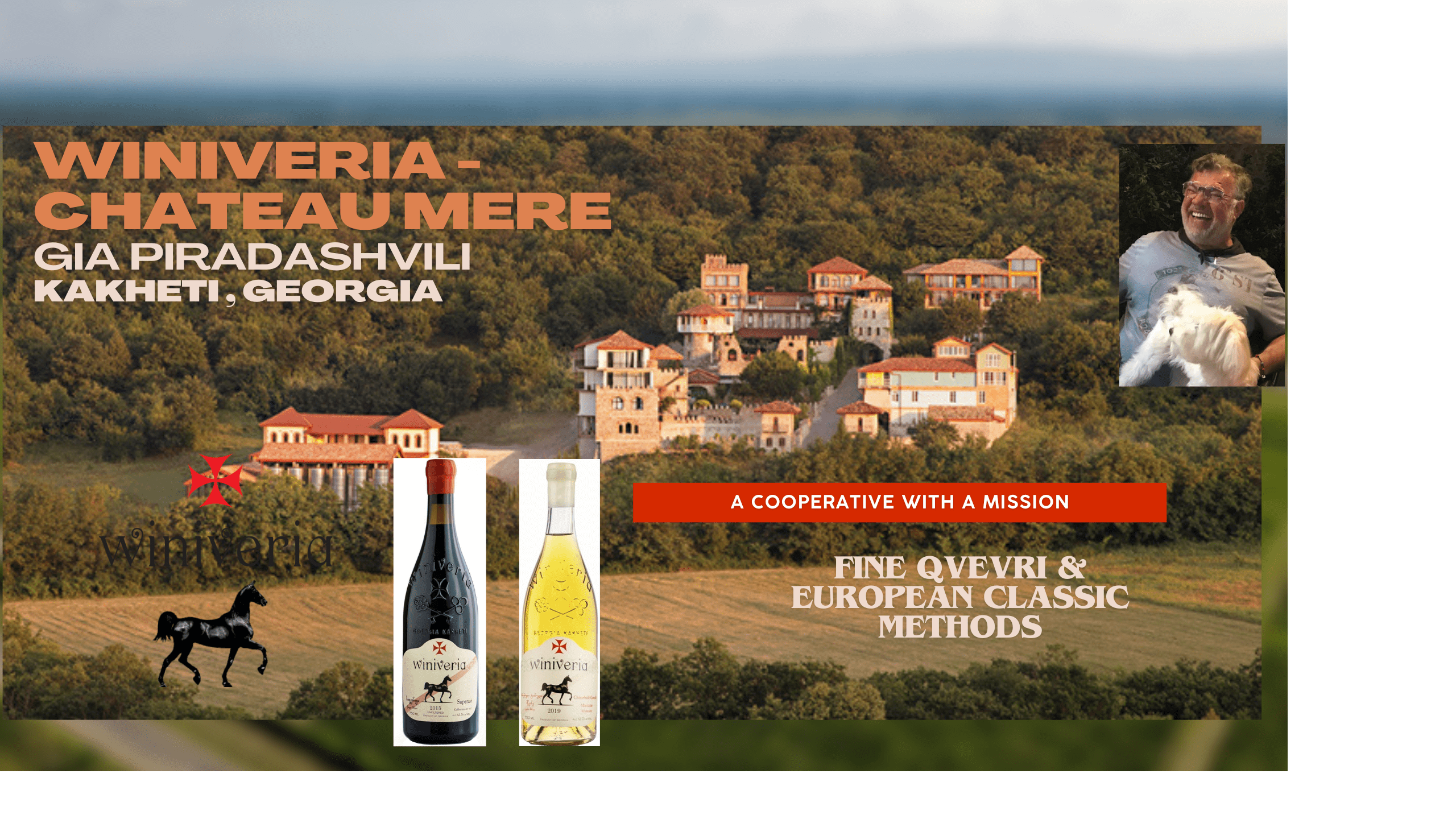 Chateau Mere - Ghvinos Wines