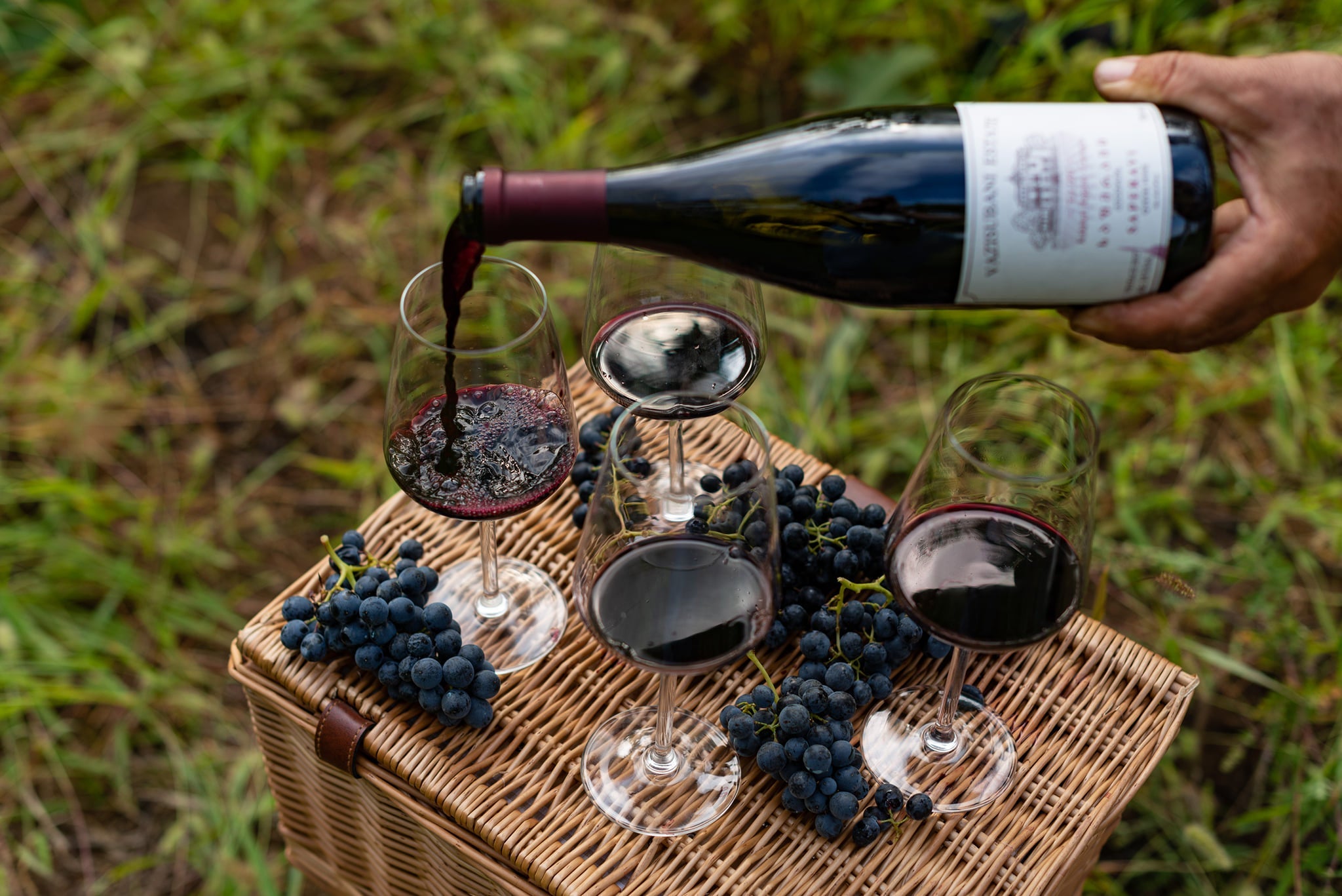 Saperavi Wines - Ghvinos Wines