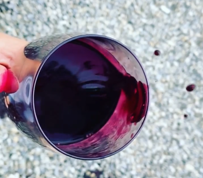 Saperavi Spectrum Sampler 6-Pack - 15% Off