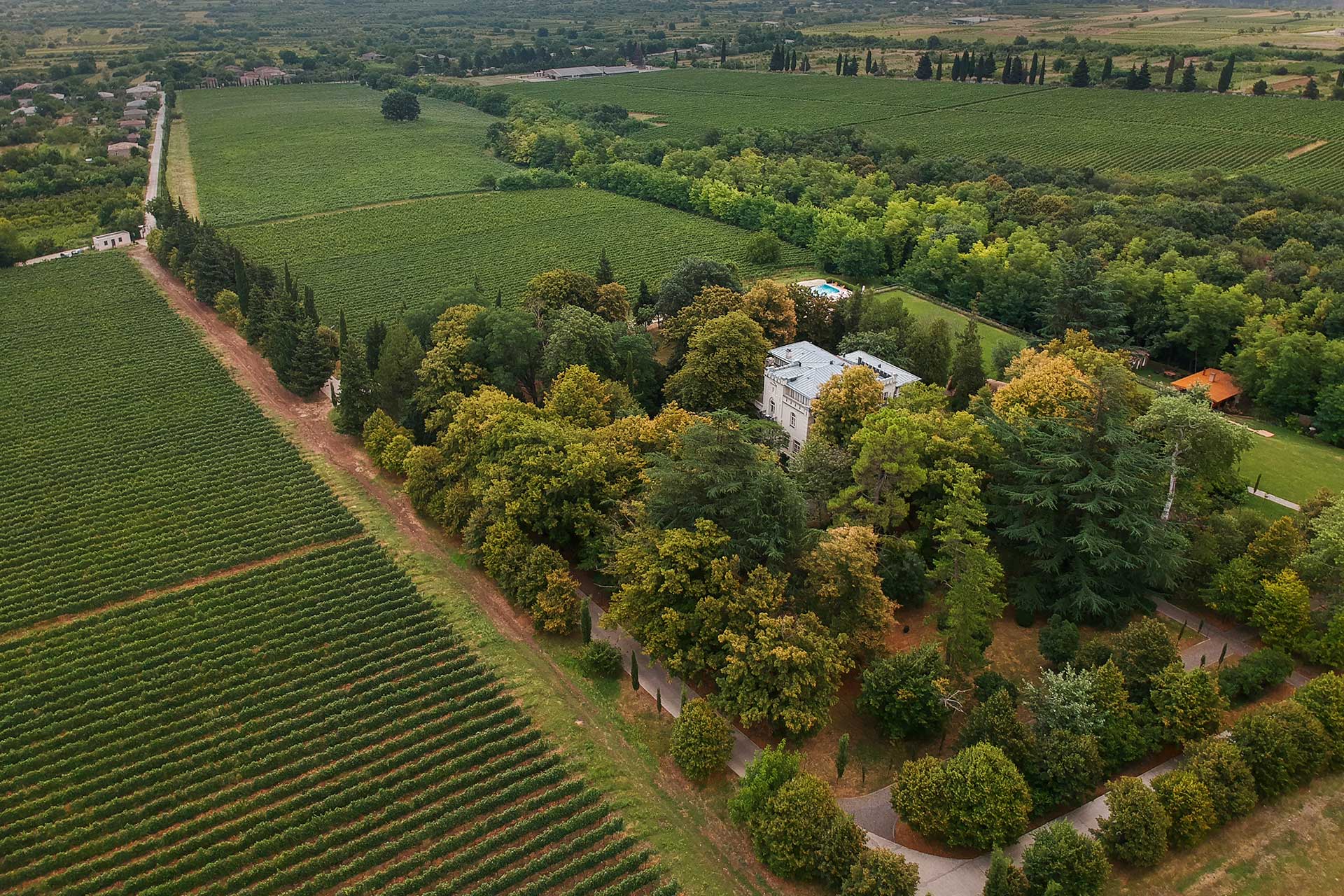 Vazisubani Estate – Ghvinos Wines