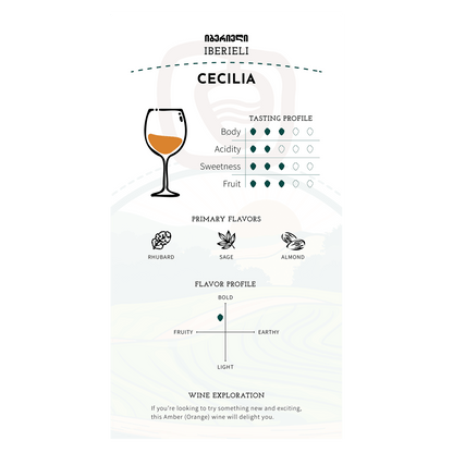 Iberieli Cecilia 2022 (Rkatsiteli, Mtsvane) Qvevri Dry Amber (Orange) Wine - Ghvinos Wines